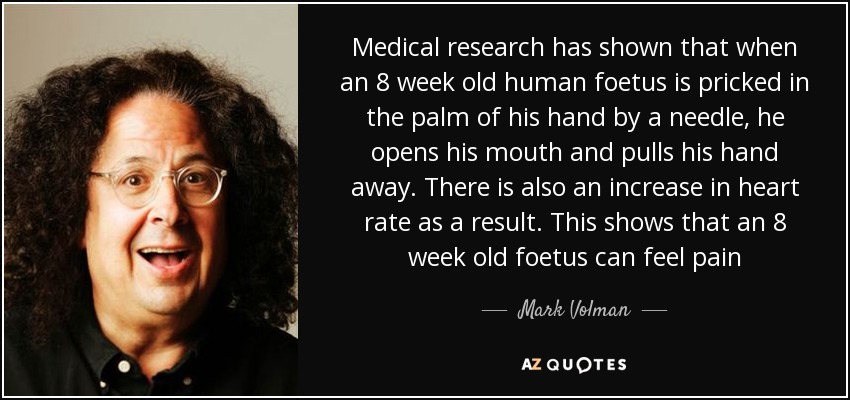 Medical research has shown that when an 8 week old human foetus is pricked in the palm of his hand by a needle, he opens his mouth and pulls his hand away. There is also an increase in heart rate as a result. This shows that an 8 week old foetus can feel pain - Mark Volman