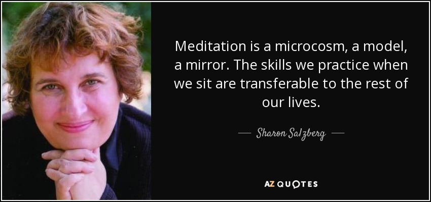 Meditation is a microcosm, a model, a mirror. The skills we practice when we sit are transferable to the rest of our lives. - Sharon Salzberg