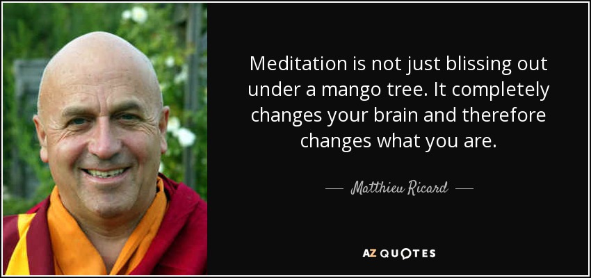 Meditation is not just blissing out under a mango tree. It completely changes your brain and therefore changes what you are. - Matthieu Ricard