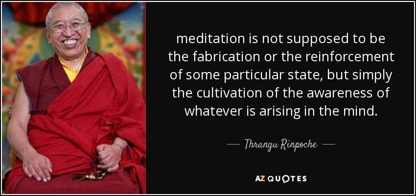 meditation is not supposed to be the fabrication or the reinforcement of some particular state, but simply the cultivation of the awareness of whatever is arising in the mind. - Thrangu Rinpoche