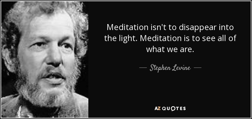 Meditation isn't to disappear into the light. Meditation is to see all of what we are. - Stephen Levine
