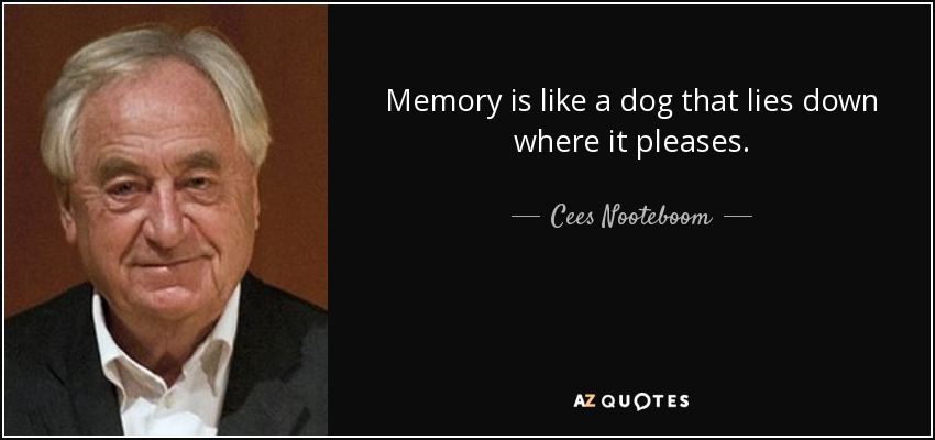 Memory is like a dog that lies down where it pleases. - Cees Nooteboom