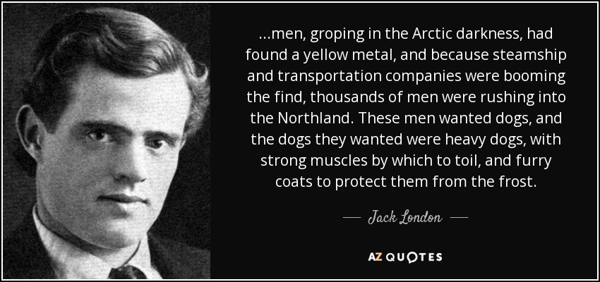 ...men, groping in the Arctic darkness, had found a yellow metal, and because steamship and transportation companies were booming the find, thousands of men were rushing into the Northland. These men wanted dogs, and the dogs they wanted were heavy dogs, with strong muscles by which to toil, and furry coats to protect them from the frost. - Jack London