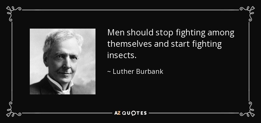 Men should stop fighting among themselves and start fighting insects. - Luther Burbank
