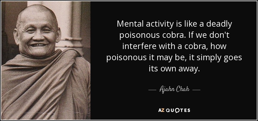 Mental activity is like a deadly poisonous cobra. If we don't interfere with a cobra, how poisonous it may be, it simply goes its own away. - Ajahn Chah