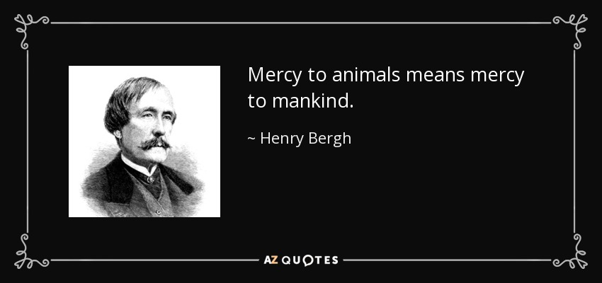 Mercy to animals means mercy to mankind. - Henry Bergh