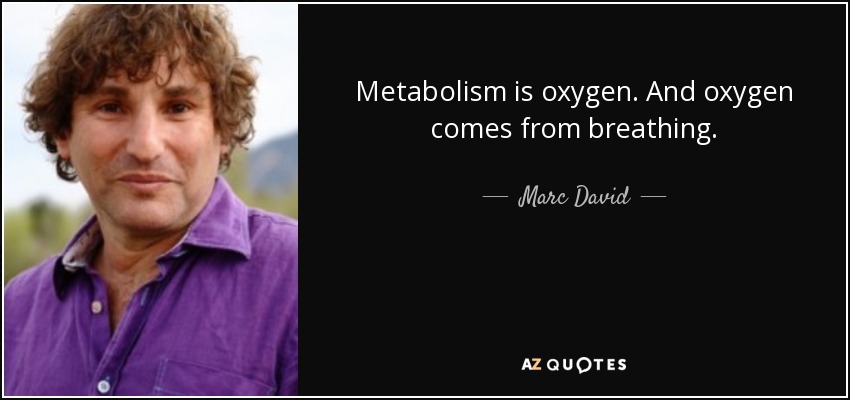 Metabolism is oxygen. And oxygen comes from breathing. - Marc David