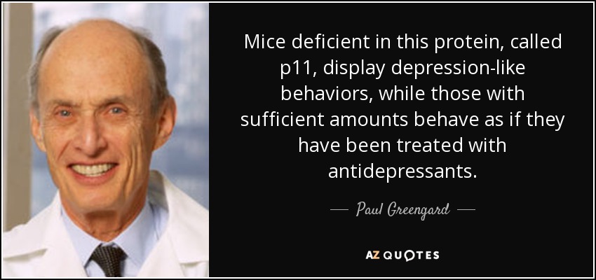 Mice deficient in this protein, called p11, display depression-like behaviors, while those with sufficient amounts behave as if they have been treated with antidepressants. - Paul Greengard