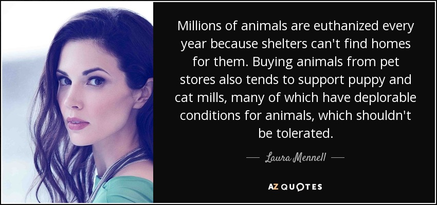 Millions of animals are euthanized every year because shelters can't find homes for them. Buying animals from pet stores also tends to support puppy and cat mills, many of which have deplorable conditions for animals, which shouldn't be tolerated. - Laura Mennell