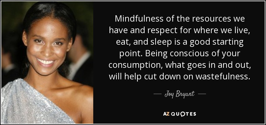 Mindfulness of the resources we have and respect for where we live, eat, and sleep is a good starting point. Being conscious of your consumption, what goes in and out, will help cut down on wastefulness. - Joy Bryant
