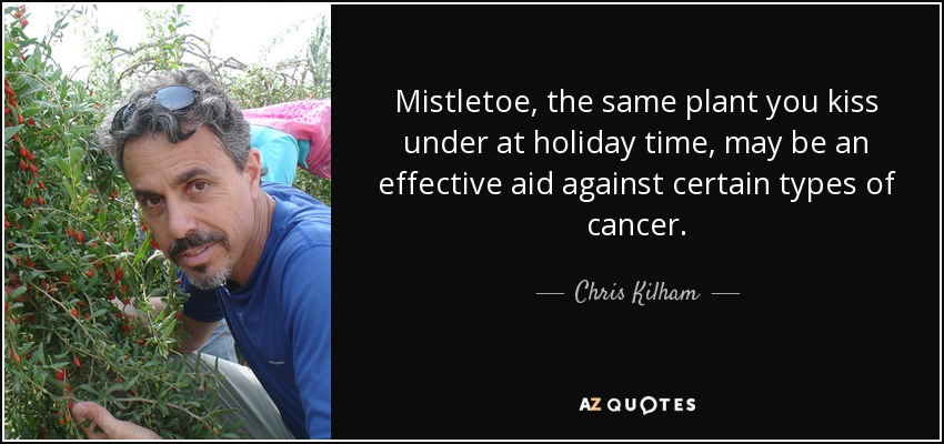 Mistletoe, the same plant you kiss under at holiday time, may be an effective aid against certain types of cancer. - Chris Kilham