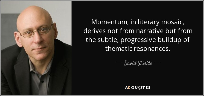 Momentum, in literary mosaic, derives not from narrative but from the subtle, progressive buildup of thematic resonances. - David Shields