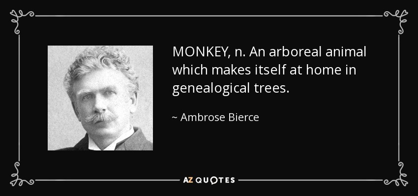 MONKEY, n. An arboreal animal which makes itself at home in genealogical trees. - Ambrose Bierce