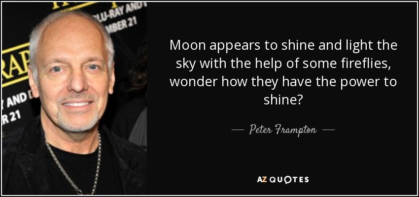 Moon appears to shine and light the sky with the help of some fireflies, wonder how they have the power to shine? - Peter Frampton