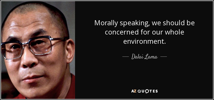 Morally speaking, we should be concerned for our whole environment. - Dalai Lama