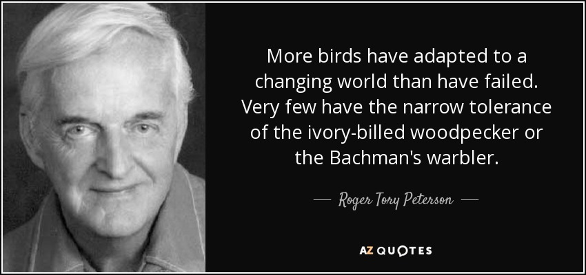 More birds have adapted to a changing world than have failed. Very few have the narrow tolerance of the ivory-billed woodpecker or the Bachman's warbler. - Roger Tory Peterson