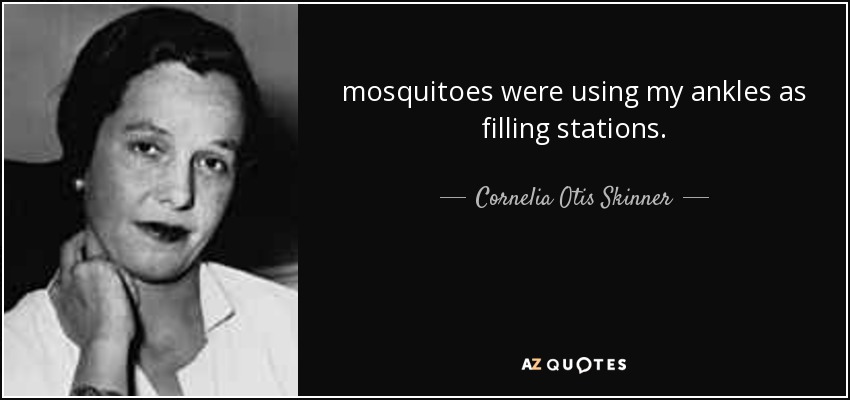mosquitoes were using my ankles as filling stations. - Cornelia Otis Skinner