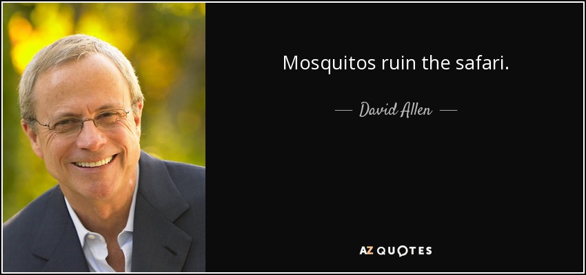 Mosquitos ruin the safari. - David Allen