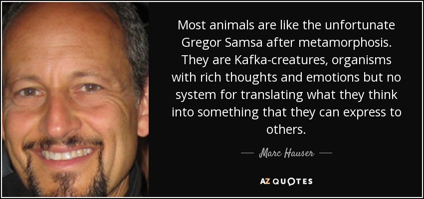 Most animals are like the unfortunate Gregor Samsa after metamorphosis. They are Kafka-creatures, organisms with rich thoughts and emotions but no system for translating what they think into something that they can express to others. - Marc Hauser