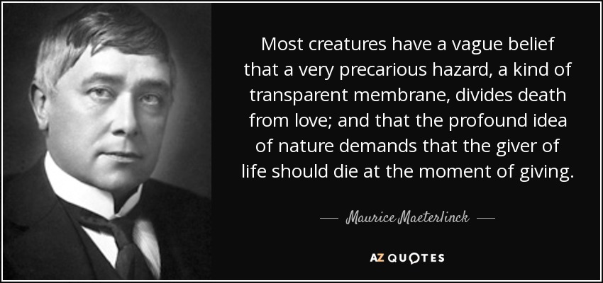 Most creatures have a vague belief that a very precarious hazard, a kind of transparent membrane, divides death from love; and that the profound idea of nature demands that the giver of life should die at the moment of giving. - Maurice Maeterlinck