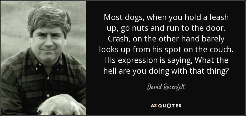 Most dogs, when you hold a leash up, go nuts and run to the door. Crash, on the other hand barely looks up from his spot on the couch. His expression is saying, What the hell are you doing with that thing? - David Rosenfelt