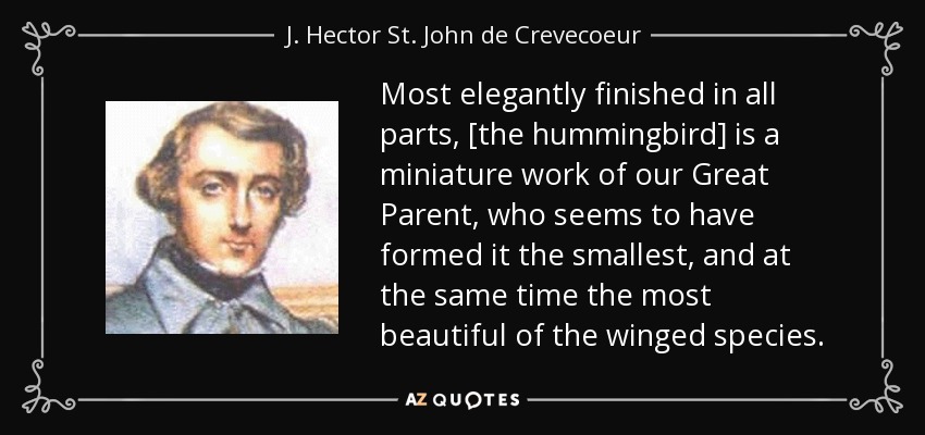 Most elegantly finished in all parts, [the hummingbird] is a miniature work of our Great Parent, who seems to have formed it the smallest, and at the same time the most beautiful of the winged species. - J. Hector St. John de Crevecoeur