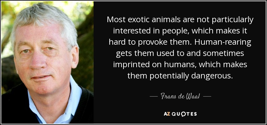 Most exotic animals are not particularly interested in people, which makes it hard to provoke them. Human-rearing gets them used to and sometimes imprinted on humans, which makes them potentially dangerous. - Frans de Waal