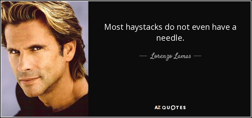 Most haystacks do not even have a needle. - Lorenzo Lamas