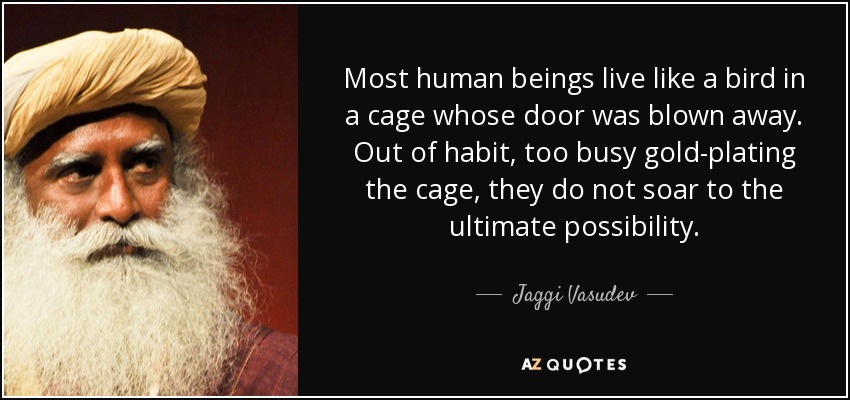 Most human beings live like a bird in a cage whose door was blown away. Out of habit, too busy gold-plating the cage, they do not soar to the ultimate possibility. - Jaggi Vasudev