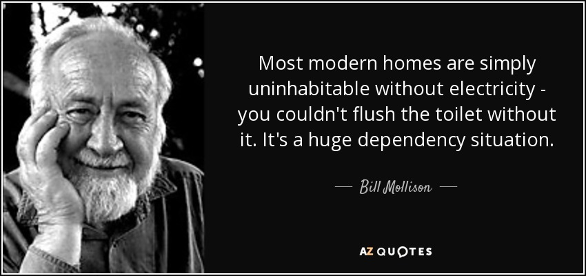 Most modern homes are simply uninhabitable without electricity - you couldn't flush the toilet without it. It's a huge dependency situation. - Bill Mollison