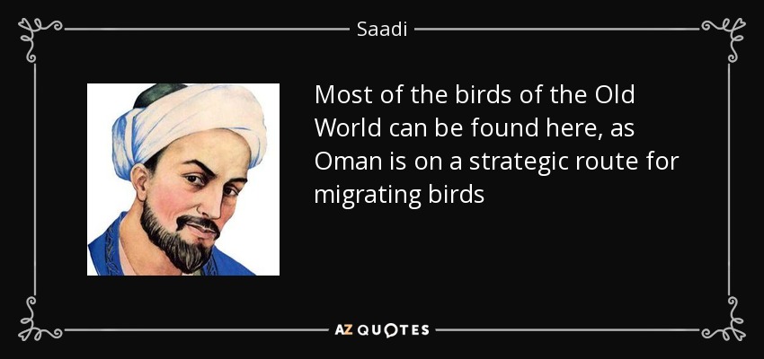 Most of the birds of the Old World can be found here, as Oman is on a strategic route for migrating birds - Saadi