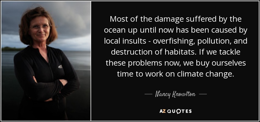 Most of the damage suffered by the ocean up until now has been caused by local insults - overfishing, pollution, and destruction of habitats. If we tackle these problems now, we buy ourselves time to work on climate change. - Nancy Knowlton