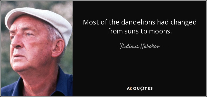 Most of the dandelions had changed from suns to moons. - Vladimir Nabokov