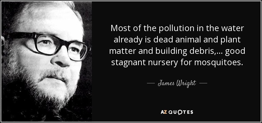 Most of the pollution in the water already is dead animal and plant matter and building debris, ... good stagnant nursery for mosquitoes. - James Wright