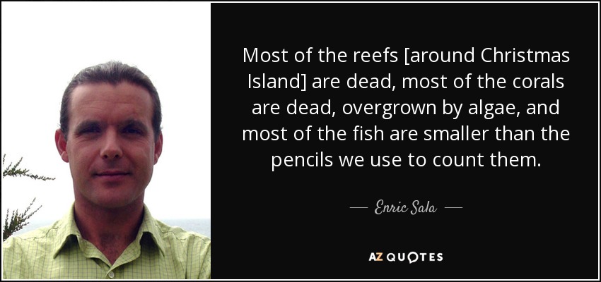 Most of the reefs [around Christmas Island] are dead, most of the corals are dead, overgrown by algae, and most of the fish are smaller than the pencils we use to count them. - Enric Sala