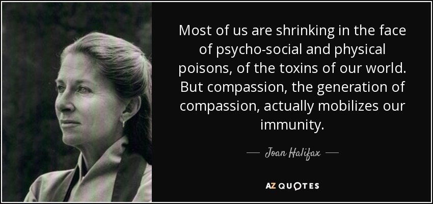 Most of us are shrinking in the face of psycho-social and physical poisons, of the toxins of our world. But compassion, the generation of compassion, actually mobilizes our immunity. - Joan Halifax
