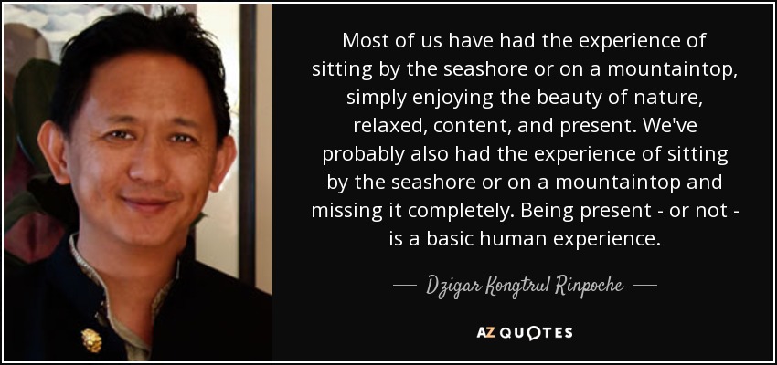 Most of us have had the experience of sitting by the seashore or on a mountaintop, simply enjoying the beauty of nature, relaxed, content, and present. We've probably also had the experience of sitting by the seashore or on a mountaintop and missing it completely. Being present - or not - is a basic human experience. - Dzigar Kongtrul Rinpoche