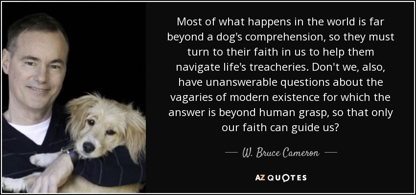 Most of what happens in the world is far beyond a dog's comprehension, so they must turn to their faith in us to help them navigate life's treacheries. Don't we, also, have unanswerable questions about the vagaries of modern existence for which the answer is beyond human grasp, so that only our faith can guide us? - W. Bruce Cameron