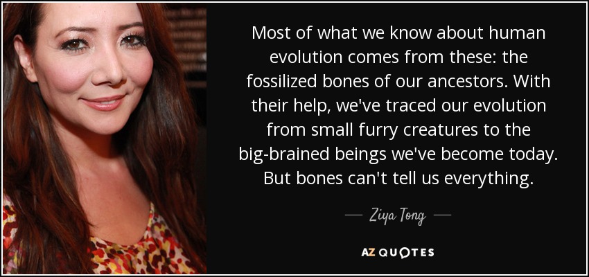 Most of what we know about human evolution comes from these: the fossilized bones of our ancestors. With their help, we've traced our evolution from small furry creatures to the big-brained beings we've become today. But bones can't tell us everything. - Ziya Tong