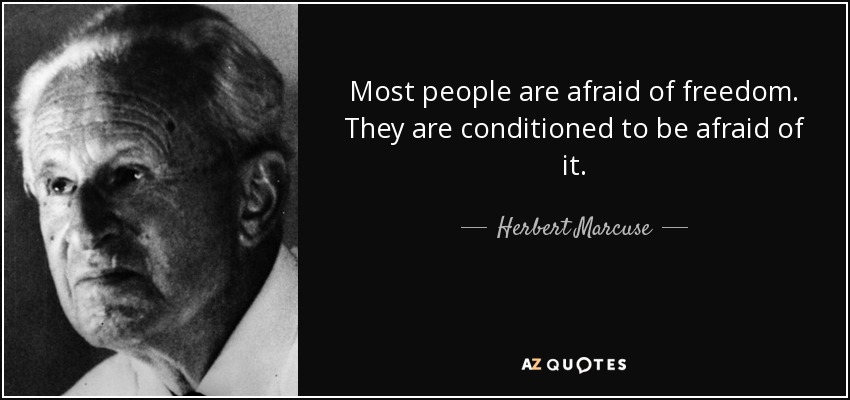 Most people are afraid of freedom. They are conditioned to be afraid of it. - Herbert Marcuse