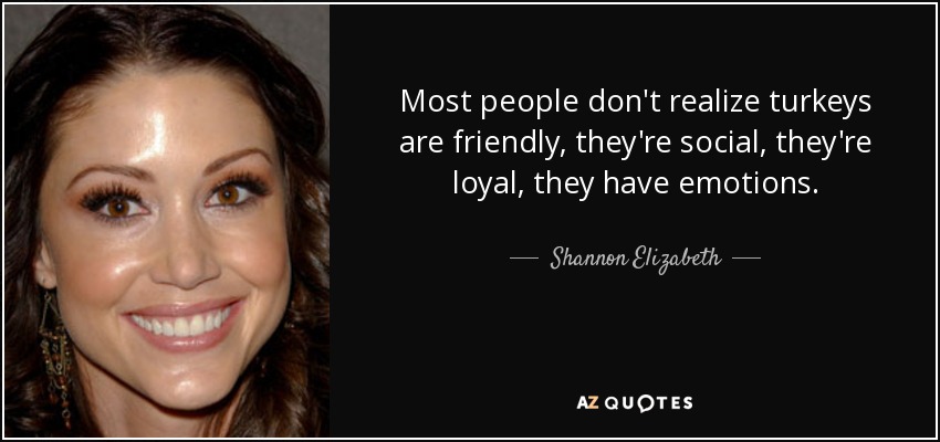 Most people don't realize turkeys are friendly, they're social, they're loyal, they have emotions. - Shannon Elizabeth