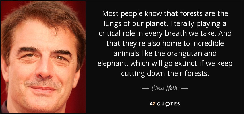 Most people know that forests are the lungs of our planet, literally playing a critical role in every breath we take. And that they're also home to incredible animals like the orangutan and elephant, which will go extinct if we keep cutting down their forests. - Chris Noth