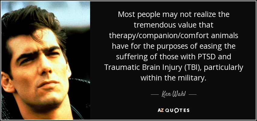 Most people may not realize the tremendous value that therapy/companion/comfort animals have for the purposes of easing the suffering of those with PTSD and Traumatic Brain Injury (TBI), particularly within the military. - Ken Wahl