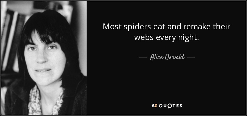 Most spiders eat and remake their webs every night. - Alice Oswald