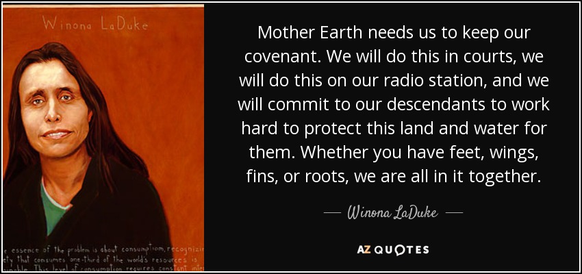 Mother Earth needs us to keep our covenant. We will do this in courts, we will do this on our radio station, and we will commit to our descendants to work hard to protect this land and water for them. Whether you have feet, wings, fins, or roots, we are all in it together. - Winona LaDuke