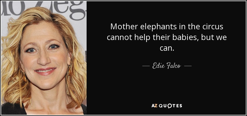 Mother elephants in the circus cannot help their babies, but we can. - Edie Falco