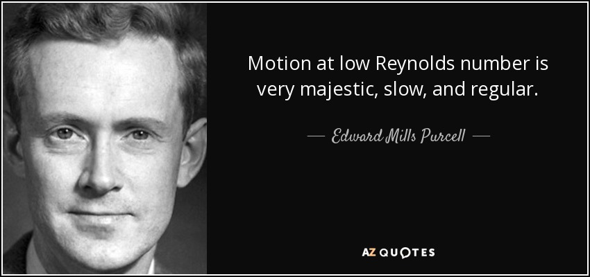 Motion at low Reynolds number is very majestic, slow, and regular. - Edward Mills Purcell