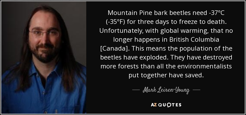 Mountain Pine bark beetles need -37°C (-35°F) for three days to freeze to death. Unfortunately, with global warming, that no longer happens in British Columbia [Canada]. This means the population of the beetles have exploded. They have destroyed more forests than all the environmentalists put together have saved. - Mark Leiren-Young