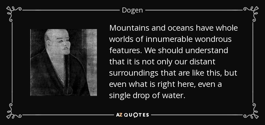 Mountains and oceans have whole worlds of innumerable wondrous features. We should understand that it is not only our distant surroundings that are like this, but even what is right here, even a single drop of water. - Dogen