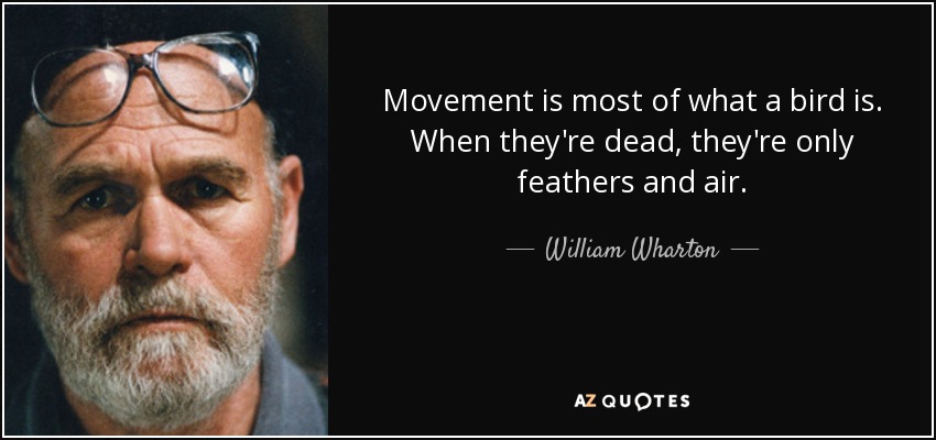 Movement is most of what a bird is. When they're dead, they're only feathers and air. - William Wharton